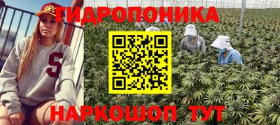 мдма Будённовск