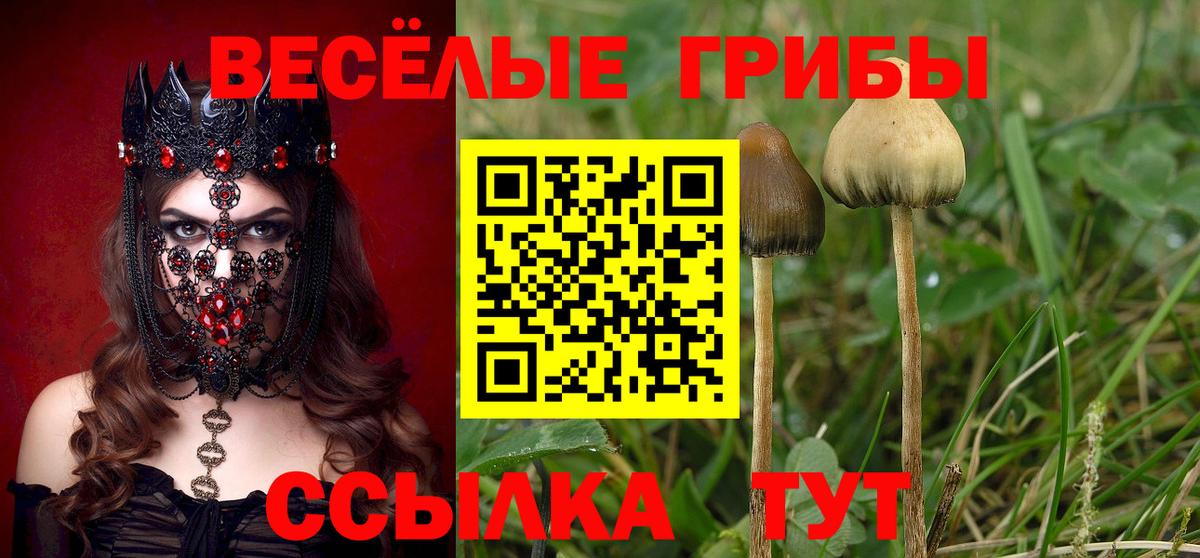 Семилуки  Галлюциногенные грибы мухоморы  Вход с VPN 