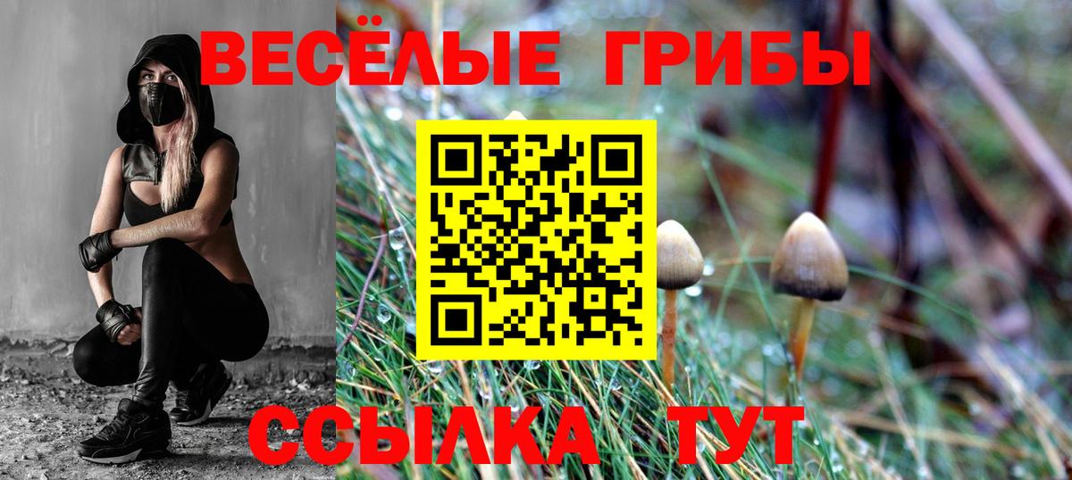 Галлюциногенные грибы Psilocybine cubensis Семилуки
